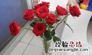 花店买的玫瑰花怎么养活 花店买的玫瑰花怎么养活的