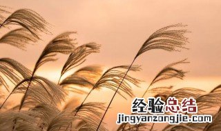 立秋怎么确定 立秋时间如何确定