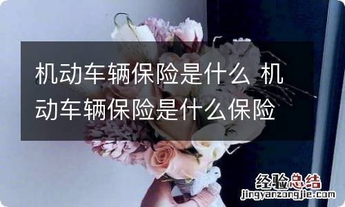 机动车辆保险是什么 机动车辆保险是什么保险