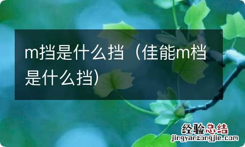 佳能m档是什么挡 m挡是什么挡