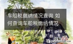 车船税缴纳情况查询 如何查询车船税缴纳情况