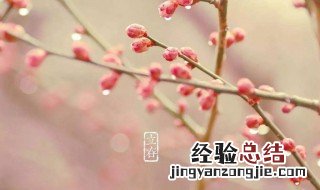 适合立春发的朋友圈