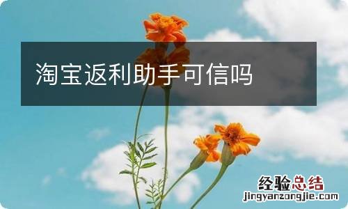 淘宝返利助手可信吗