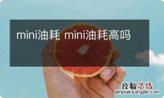 mini油耗 mini油耗高吗