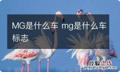 MG是什么车 mg是什么车标志