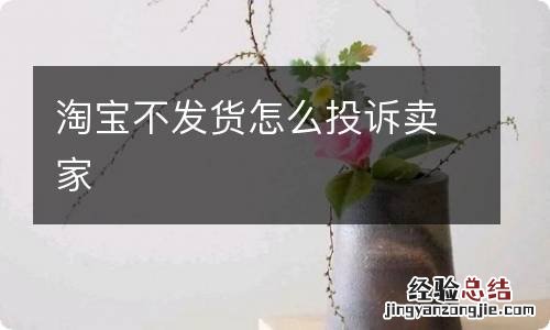 淘宝不发货怎么投诉卖家