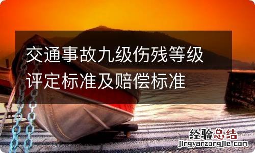 交通事故九级伤残等级评定标准及赔偿标准