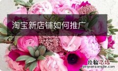 淘宝新店铺如何推广