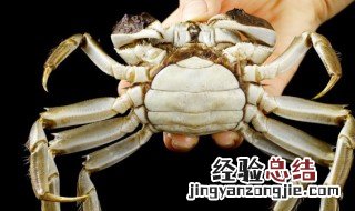 螃蟹爪子花怎么养 螃蟹爪子花怎么养视频