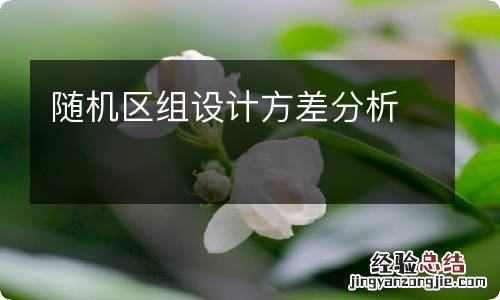 随机区组设计方差分析