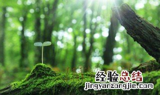 五行缺木的人忌讳什么 五行缺木的人有什么不好