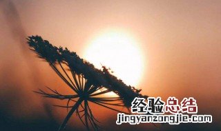 哲理名人句子精辟短句 名人哲理句子精辟简短犀利