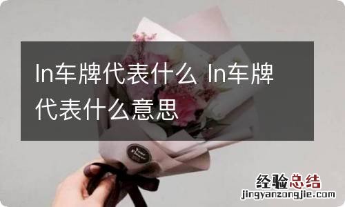 ln车牌代表什么 ln车牌代表什么意思