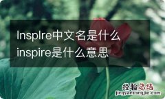 lnsplre中文名是什么 inspire是什么意思