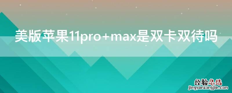 美版iPhone11pro max是双卡双待吗