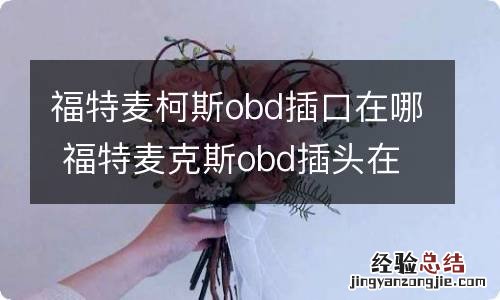 福特麦柯斯obd插口在哪 福特麦克斯obd插头在哪