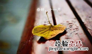 11月句子说说 11月说说优美句子