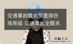 交通事故髋关节置换伤残等级 交通事故全髋关节置换构成几级伤残