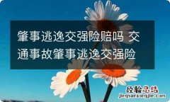 肇事逃逸交强险赔吗 交通事故肇事逃逸交强险赔吗