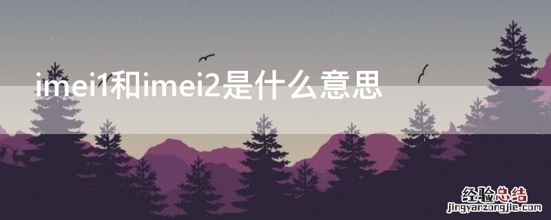 imei1和imei2是什么意思 imei1和imei2查正品用哪个