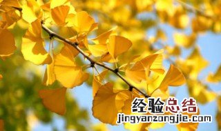 10月再见文案 10月再见的句子