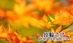 11月份的经典句子 11月份的经典句子集锦