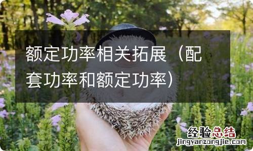 配套功率和额定功率 额定功率相关拓展