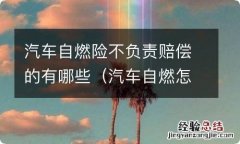 汽车自燃怎么赔偿没有自燃险 汽车自燃险不负责赔偿的有哪些