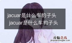 jacuar是什么车豹子头 jacuar是什么车豹子头xel