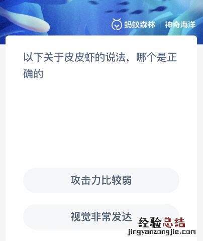 以下关于皮皮虾的说法哪个是正确的 关于皮皮虾的古诗