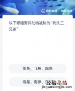 以下哪组海洋动物被称为“刺头三兄弟”？神奇海洋12.14今日答案最新