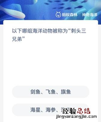 以下哪组海洋动物被称为“刺头三兄弟”？神奇海洋12.14今日答案最新