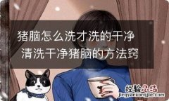 猪脑怎么洗才洗的干净 清洗干净猪脑的方法窍门