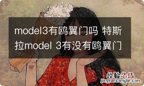 model3有鸥翼门吗 特斯拉model 3有没有鸥翼门