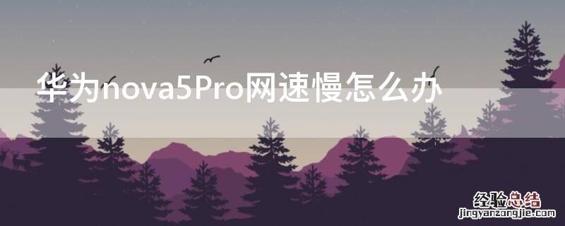 华为nova5pro手机上网很慢 华为nova5Pro网速慢怎么办