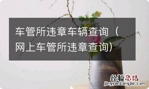 网上车管所违章查询 车管所违章车辆查询