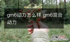 gm6动力怎么样 gm6混合动力