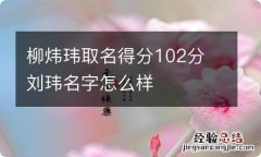 柳炜玮取名得分102分 刘玮名字怎么样