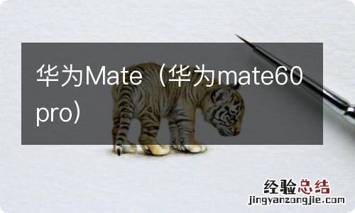 华为mate60pro 华为Mate