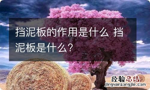 挡泥板的作用是什么 挡泥板是什么?