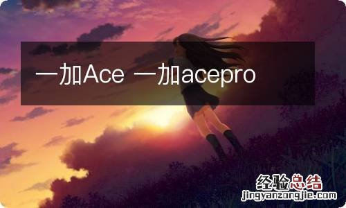 一加Ace 一加acepro