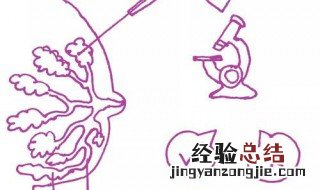 乳腺是什么东西 乳腺是什么
