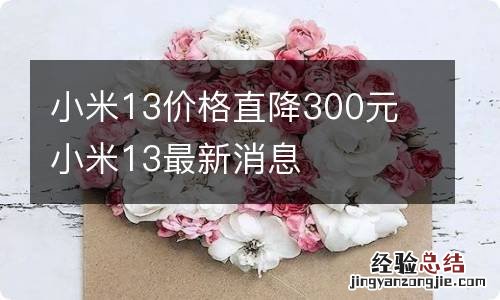 小米13价格直降300元 小米13最新消息