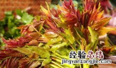 新鲜香椿芽如何保存 新鲜香椿芽怎么保存