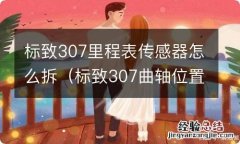 标致307曲轴位置传感器怎么拆 标致307里程表传感器怎么拆