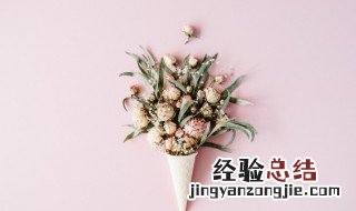 永生花养护有哪些技巧 永生花养护方法