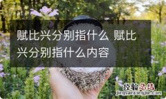 赋比兴分别指什么 赋比兴分别指什么内容