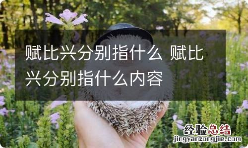 赋比兴分别指什么 赋比兴分别指什么内容