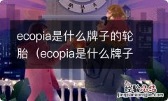 ecopia是什么牌子的轮胎225 55r18多少钱 ecopia是什么牌子的轮胎