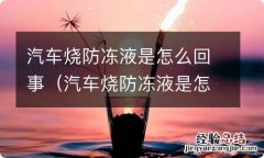 汽车烧防冻液是怎么回事? 汽车烧防冻液是怎么回事